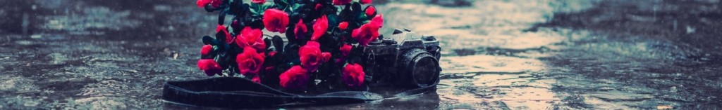 cropped-rain-camera-roses-mood-hd-wallpaper.jpg